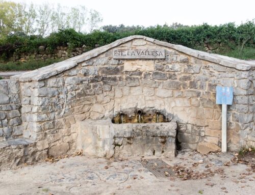 Fuente La Vallesa